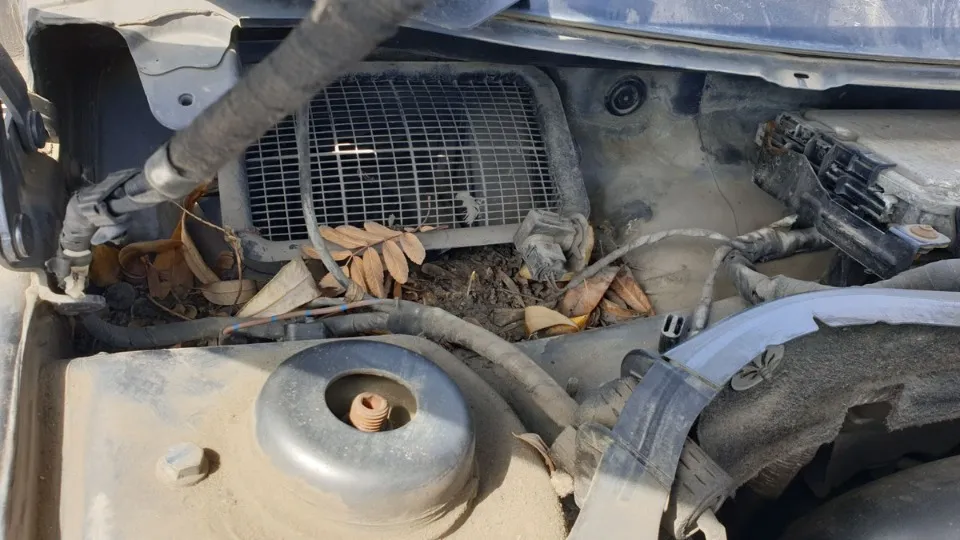 чищення дренажних отворів в авто